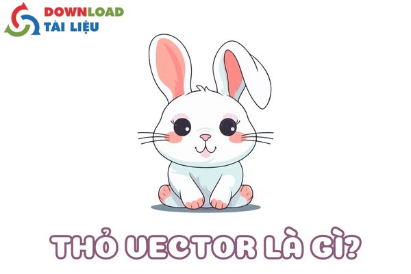 thỏ vector là gì