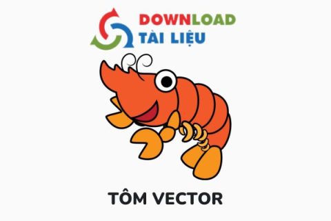 tom vector 1