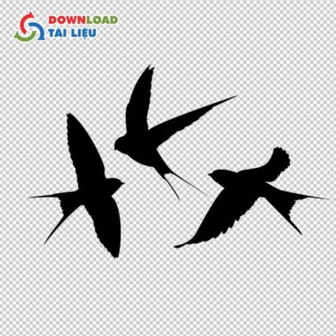 Download Bộ Mẫu Chim Yến Vector File AI, PDF, JPG, PNG