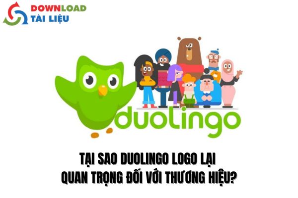 Tại Sao Duolingo Logo Lại Quan Trọng Đối Với Thương Hiệu