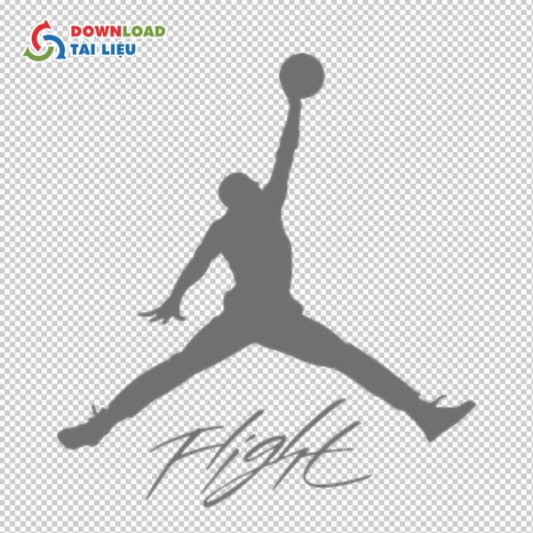 jordan flight logo