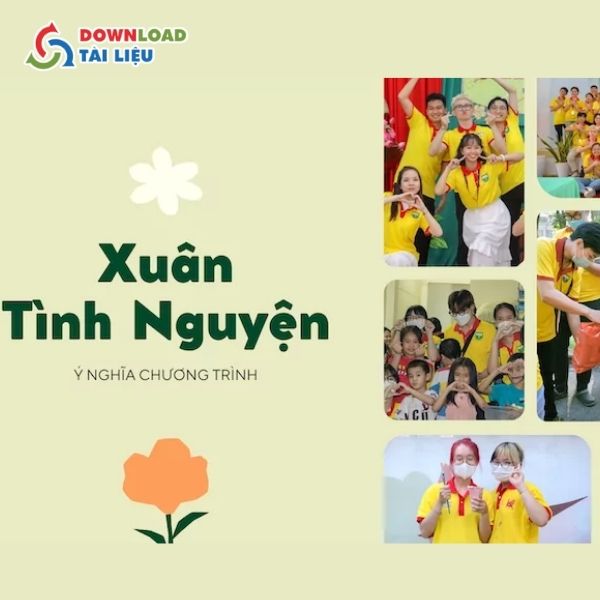 Ý Nghĩa Của Logo Xuân Tình Nguyện