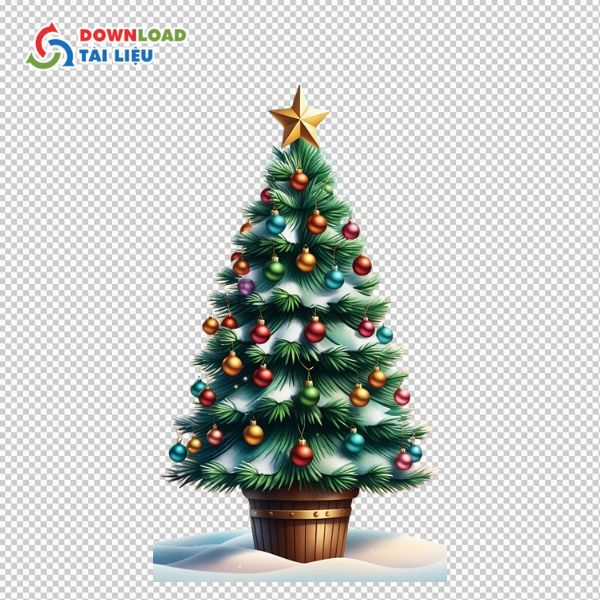 Cây thông noel vector png