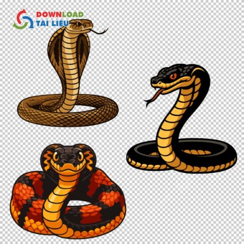 Tải 25+ Mẫu Rắn Vector AI, PNG, SVG, PDF, JPG Miễn Phí