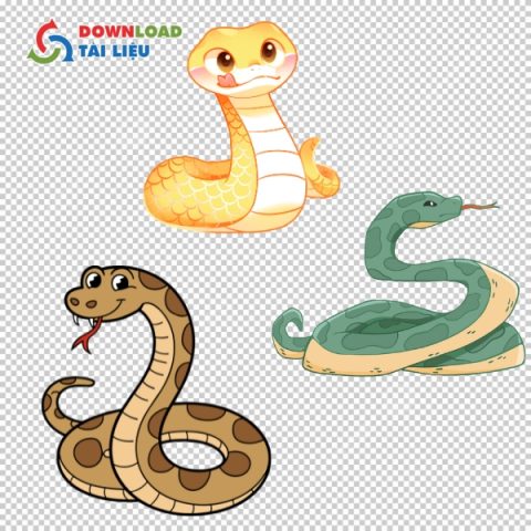 Tải 25+ Mẫu Rắn Vector AI, PNG, SVG, PDF, JPG Miễn Phí