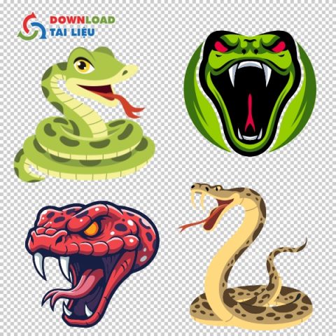 Tải 25+ Mẫu Rắn Vector AI, PNG, SVG, PDF, JPG Miễn Phí