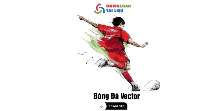 bong da Vector