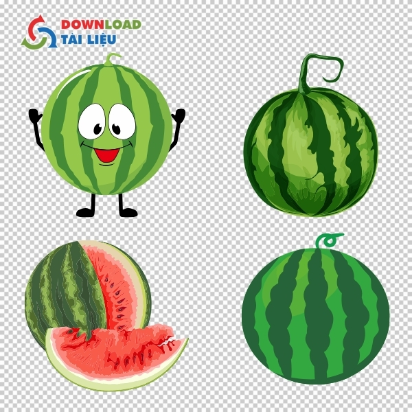 Tải 30+ Mẫu Dưa Hấu Vector Chất Lượng Cao Miễn Phí Mẫu vector trái cây mùa hè