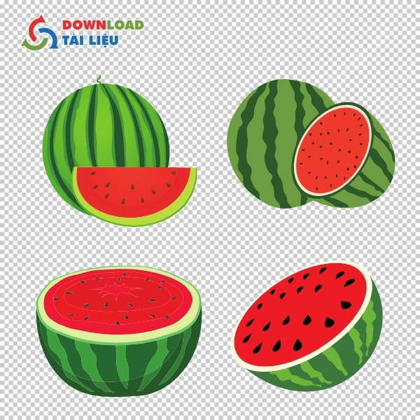 Tải 30+ Mẫu Dưa Hấu Vector Chất Lượng Cao Miễn Phí Mẫu dưa hấu vector sắc nét