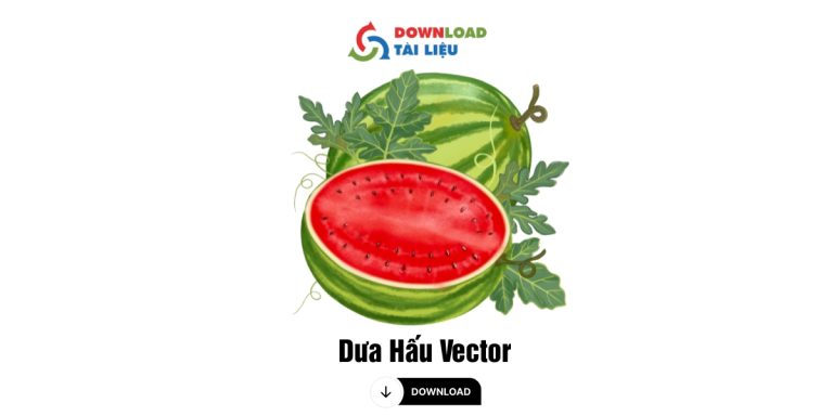 dua hau vector 13