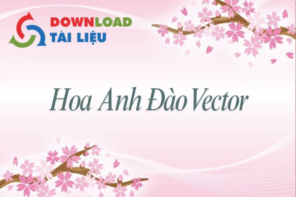 hoa anh dao 13