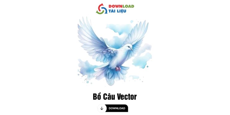 bo cau vector