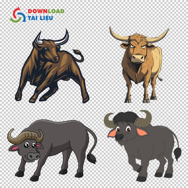 Mẫu hình ảnh con trâu chất lượng cao