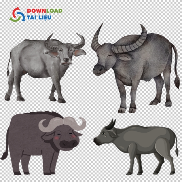 Mẫu con trâu vector truyền thống