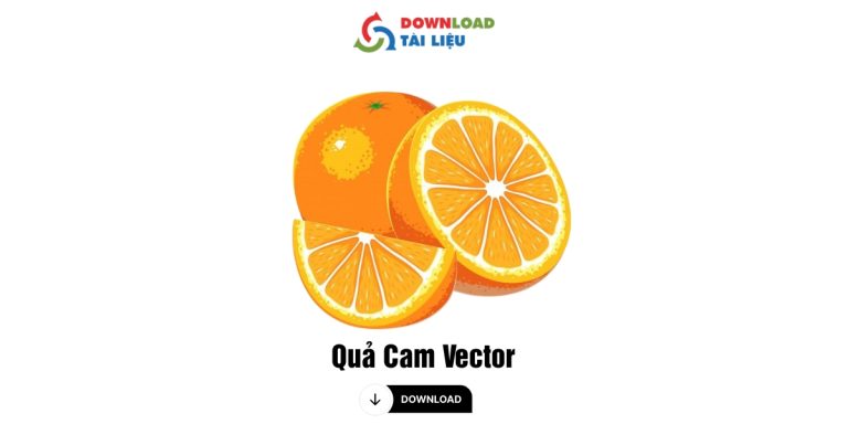 qua cam vector