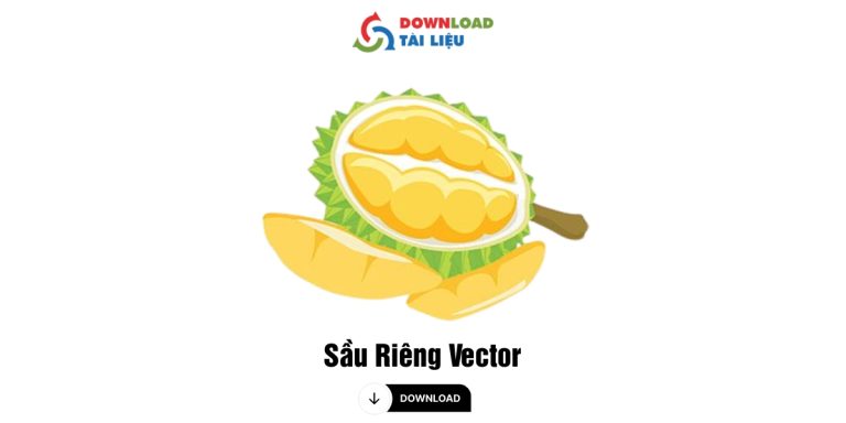 sau rieng vector
