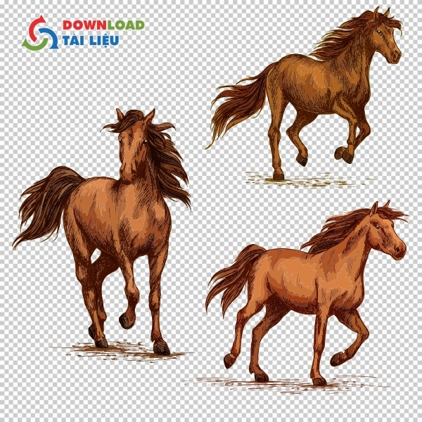 Mẫu con ngựa vector phong cách hiện đại và mạnh mẽ