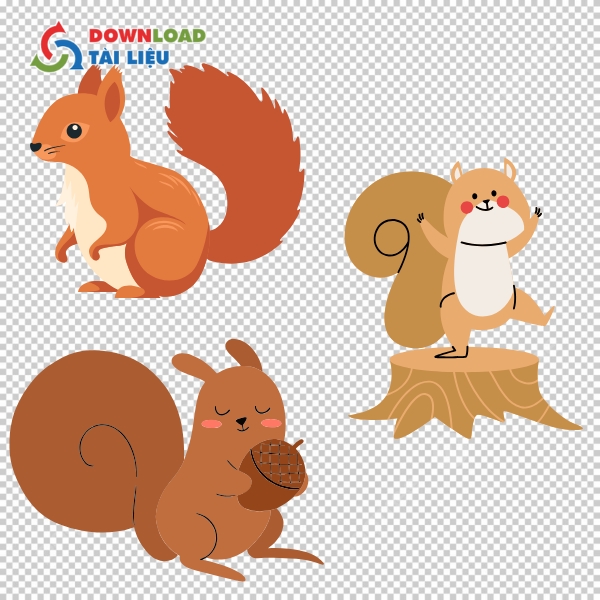 Tải 40+ Mẫu Con Sóc Vector Đẹp File PNG, JPG Miễn Phí Mẫu con sóc vector dễ thương trong rừng