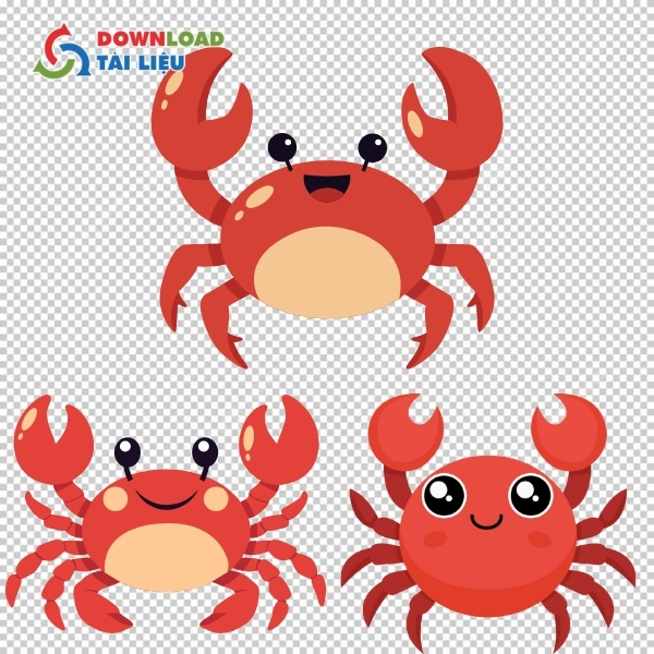 Mẫu cua vector dễ thương phong cách hoạt hình