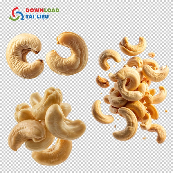 Tải 40+ Mẫu Hạt Điều Vector Đẹp File PNG, JPG Miễn Phí Mẫu hạt điều vector đẹp với thiết kế tự nhiên, tinh tế