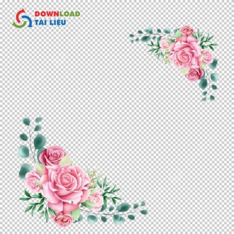 Tải 25+ Mẫu Hoa Góc Vector Xóa Nền File PNG, JPG Miễn Phí