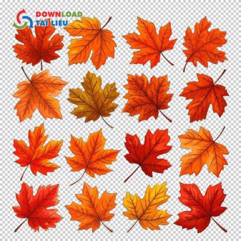 Download 50+ Mẫu Lá Phong Vector File AI, EPS, JPG, JPEG Miễn Phí
