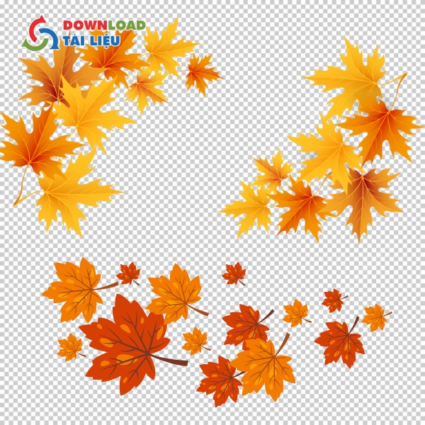 Download 50+ Mẫu Lá Phong Vector File AI, EPS, JPG, JPEG Miễn Phí lá phong file AI