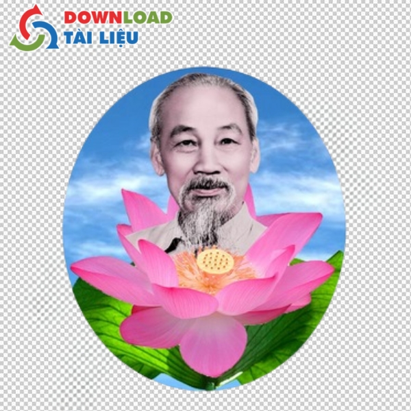 Mẫu vector bác hồ hoa sen free không dính quảng cáo