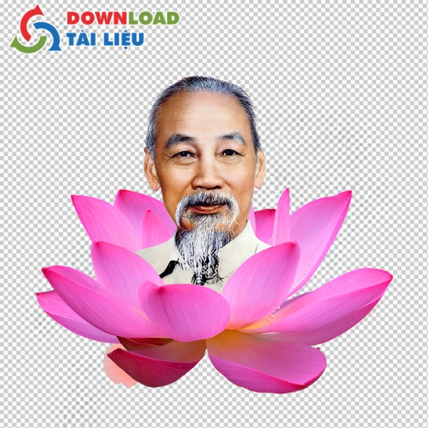 Mẫu Bác Hồ hoa sen vector đuôi eps tương thích nhiều phần mềm